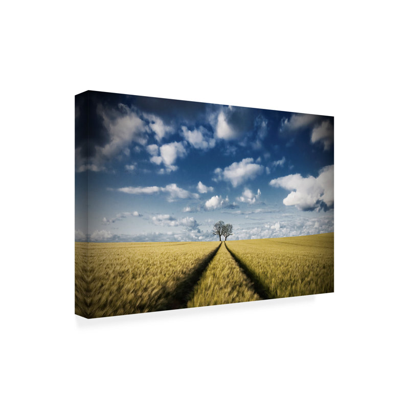 Toile d'extérieur «Trace and Trees 2» de Carsten Meyerdierks, H 12 po x l 19 po x P 1,5 po