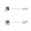 Thermostatic Shower with Fixed Shower Head