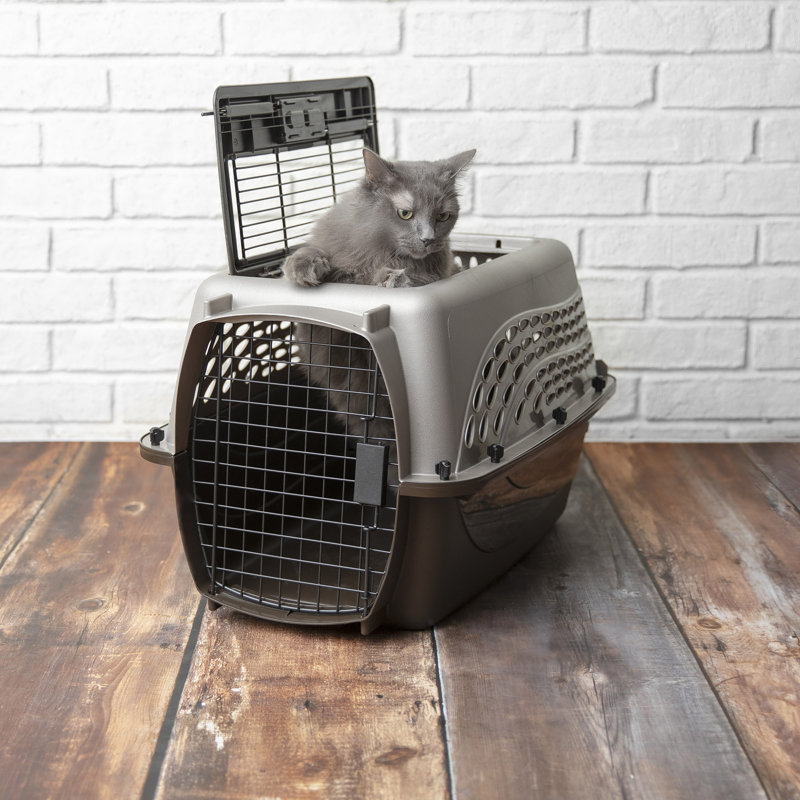 Porte-animal de mode métallique, Moyen (H 14,5 po x l 16,7 po x P 24,1 po), Brun clair nacré / café