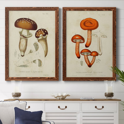 Toile encadrée de qualité supérieure Mushroom Variétés III - prête à être accrochée