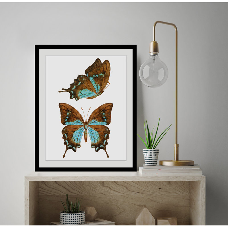Butterfly - Single Picture Frame Print