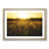 Oak Framed selected