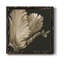 «Classical Blooms I», art mural sur toile-62718714-62718713
