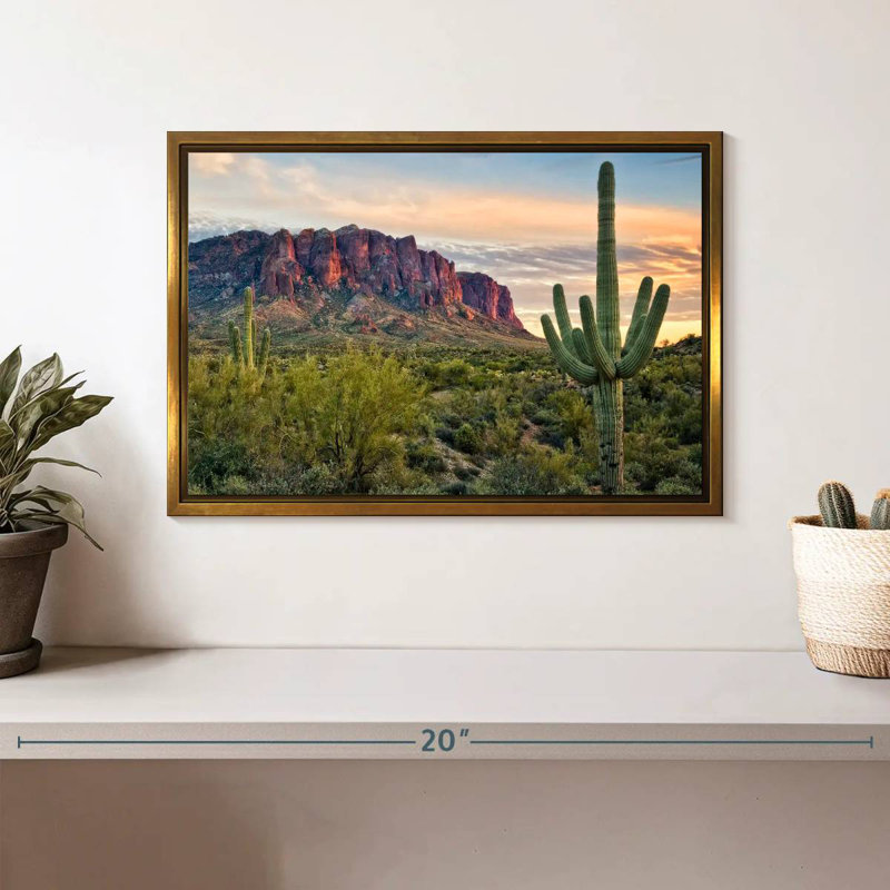 Cactus View II, Cadre flottant doré, 13 po x 9 po