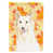 Collie blanc sélectionné