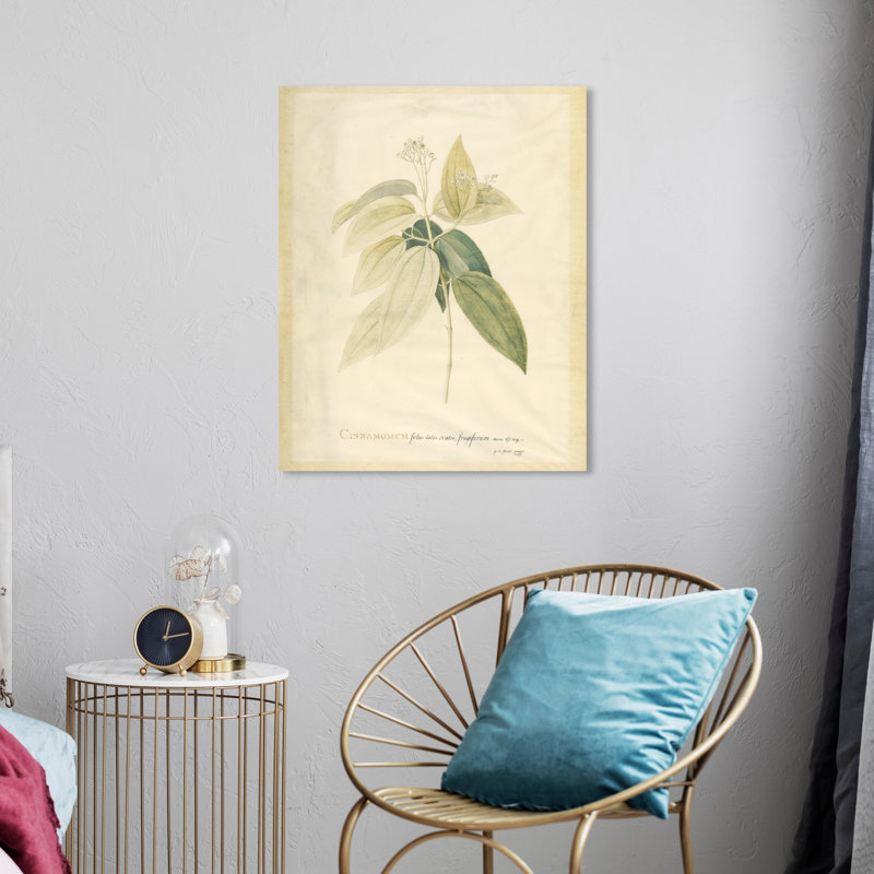 Jacquenette Cinnamomum sur toile, H 24 po x l 20 po x P 0,8 po