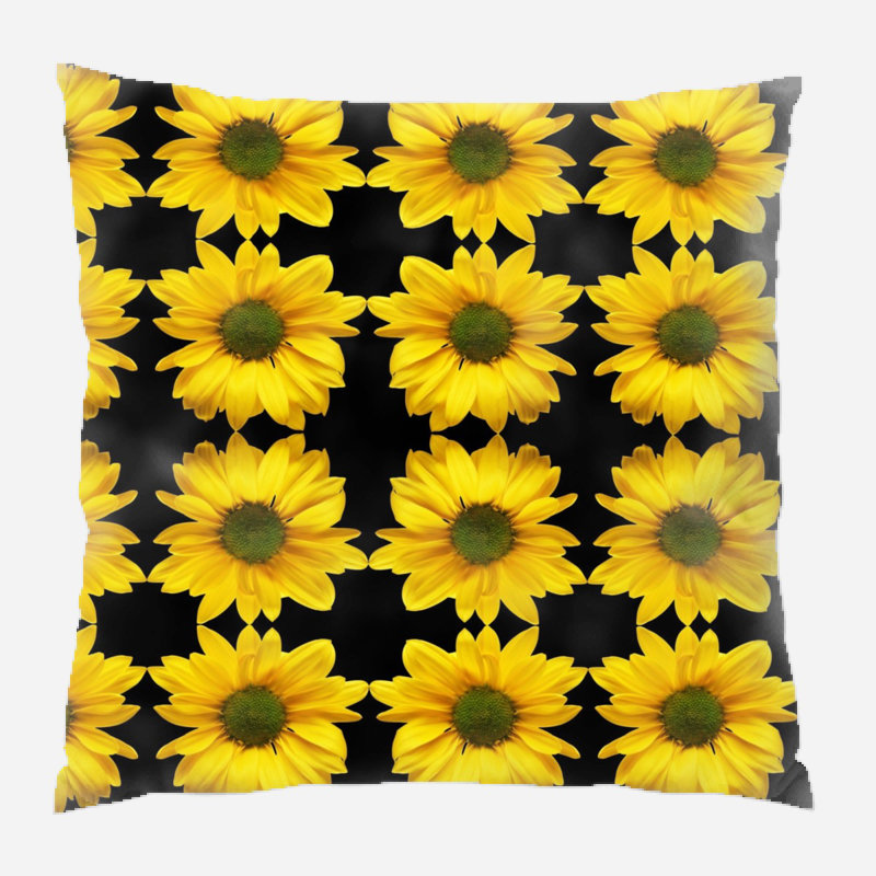 Coussin astronira, Intérieur