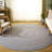 Exaucet Flat Weave Performance Rug-828321391