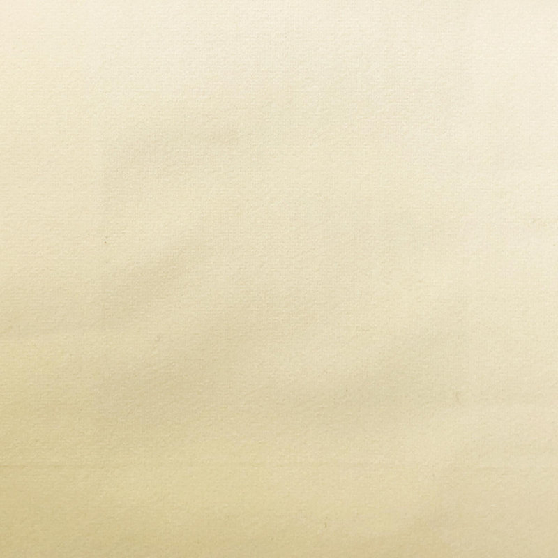 Solid Velvet | Velluto Fabric, Ivory