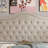 Adjustable Headboard with Fine Linen Upholstery and Button Tufting for Bedroom-1235635082-1235635087