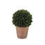 12" Artificial Boxwood Plant in Round Pot-553209786