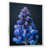 White Floater Framed Canvas