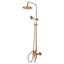 Michalski Mixer Shower with Dual Shower Head