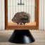 Vitrines en bois brun et noir