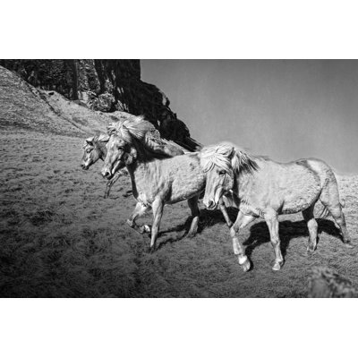 Wild Horses Desert Dark - Wrapped Canvas Art Prints