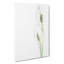 Pair Of White Peace Lilies - Wrapped Canvas Print-55309447