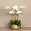 Orchid Floral Arrangement in Planter-249749281-249749293-249749295