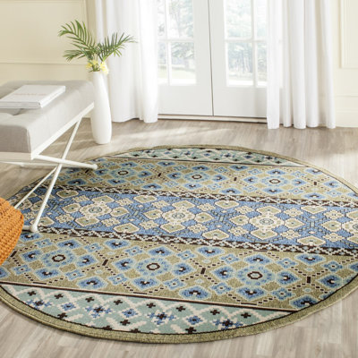 Embyr Performance Ikat Indoor/Outdoor Area Rug