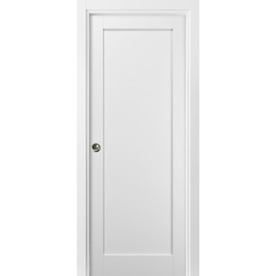 Quadro Paneled Sliding Closet Door