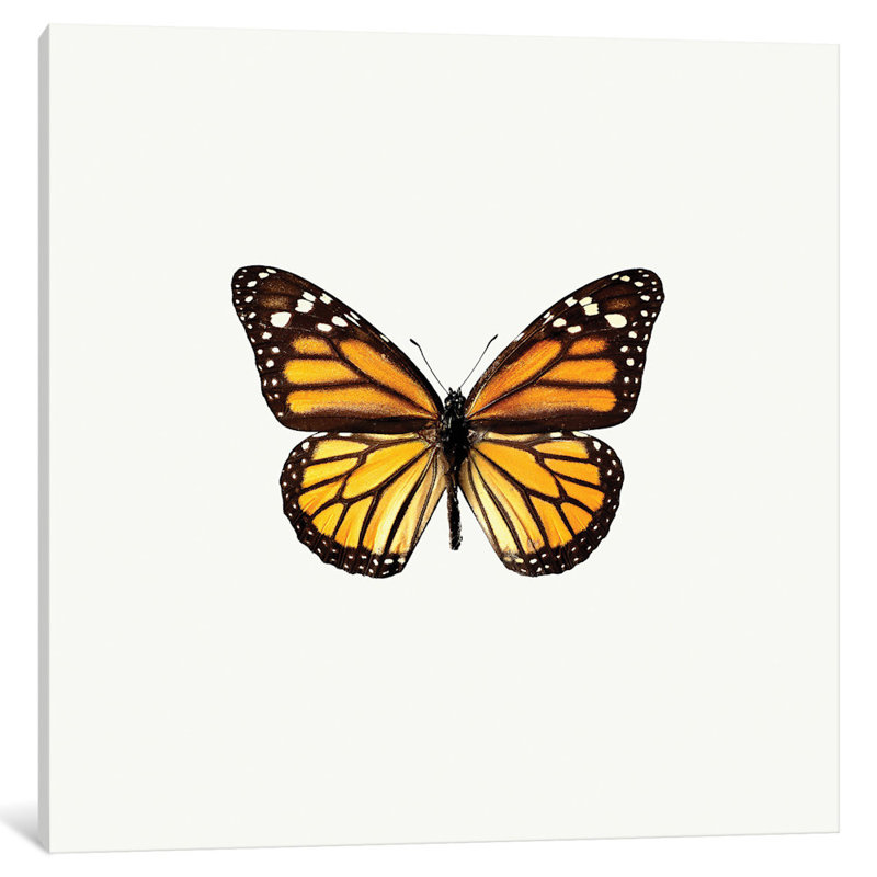 «Yellow Butterfly I», impression sur toile, H 37 po x l 37 po x P 1,5 po, Toile tendue