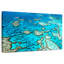 Grande barrière de corail de Marchelle-108842248