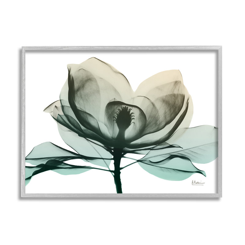 Photographie de la fleur de radiographie verte sur toile, H 11 po x l 14 po x P 1,5 po, Estampe numérique Farmhouse