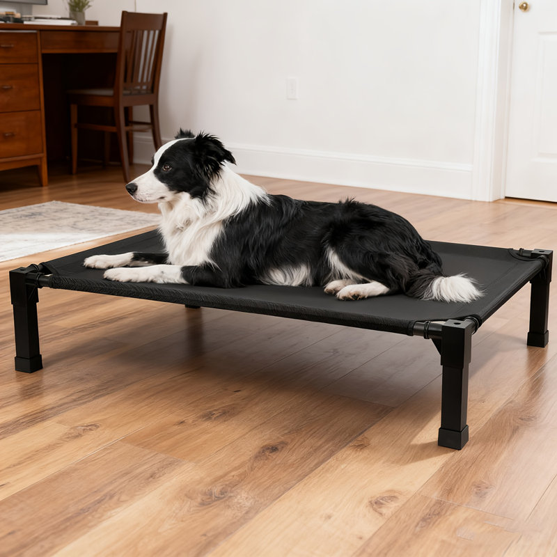 Lit pour chien Cooling Elevated, H 9,3 po x l 51 po x P 36,1 po, Noir