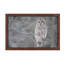 Barred Owl On Branches - Floater Frame Print on Canvas-1260476467-1260476468
