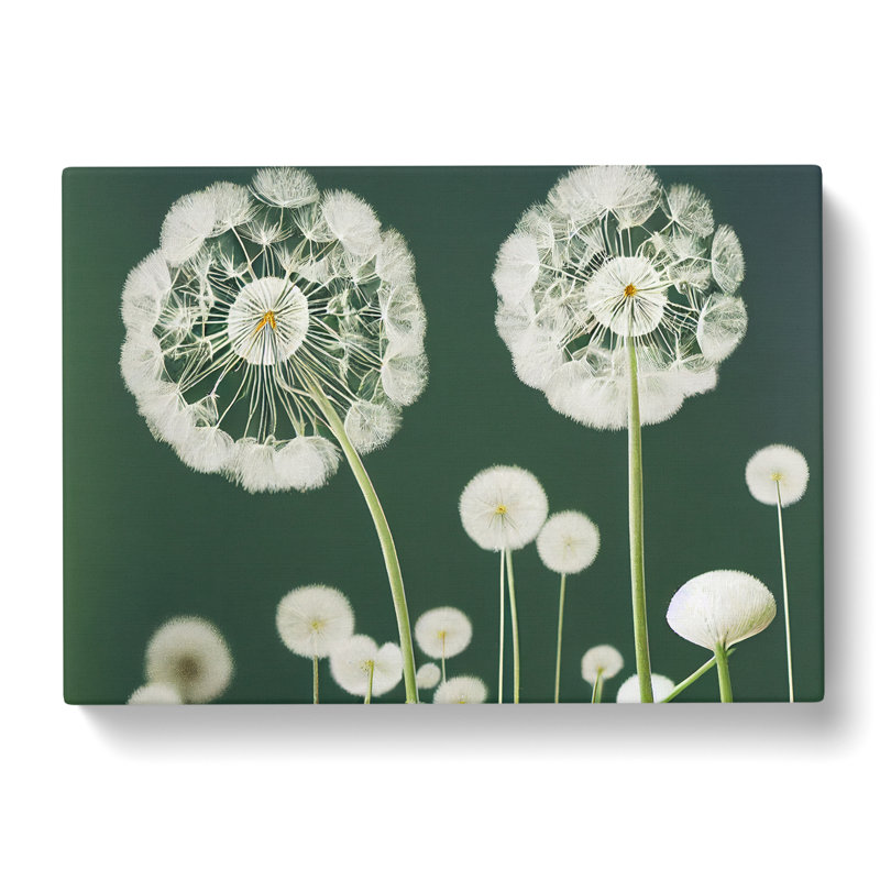 Charming Dandelion Flowers - Wrapped Canvas