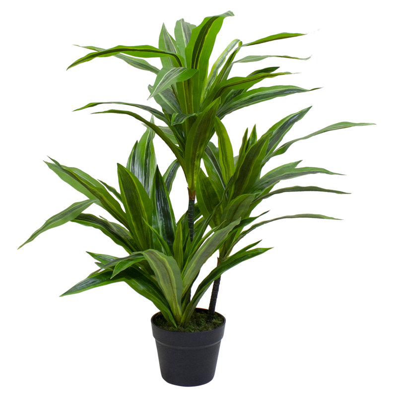 Plante artificielle verte 35 po Dracaena