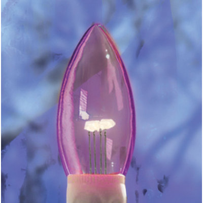 Halloween Dual Intensity Light Bulb