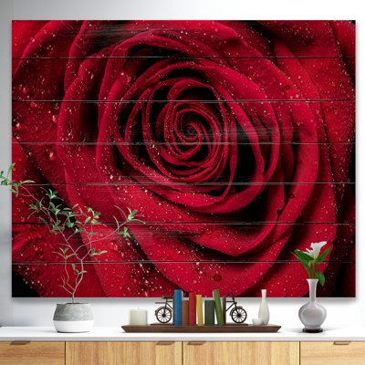 «Red Rose Petals with Rain Droplets», photographie