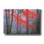 «Splash of Red» par Patrick Zephyr, art mural sur toile-255849481