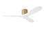 Ventilateur de plafond intelligent Smart Hugger-1726358758-1726358756-1726358757