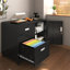 Armoire de bureau en métal avec 2 tiroirs et tablettes réglables