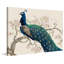 «Peacock and Blossoms II», reproduction de peinture acrylique sur toile tendue-89405600