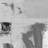 " Gray Impression "-175026803