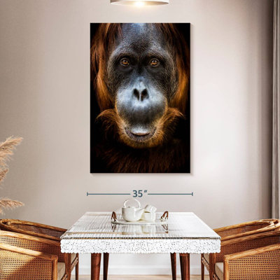Brampt Orangutan Face
