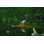 " Happy Place II " by James Wiens Painting Print