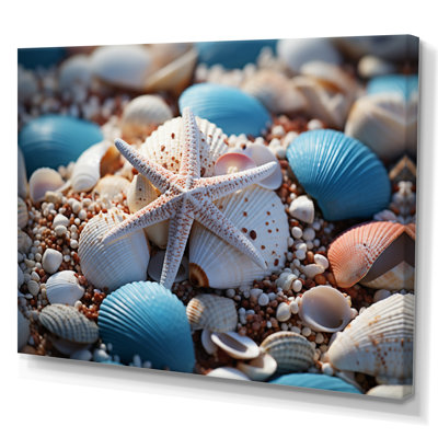 " Coastal Seashell Symphony "