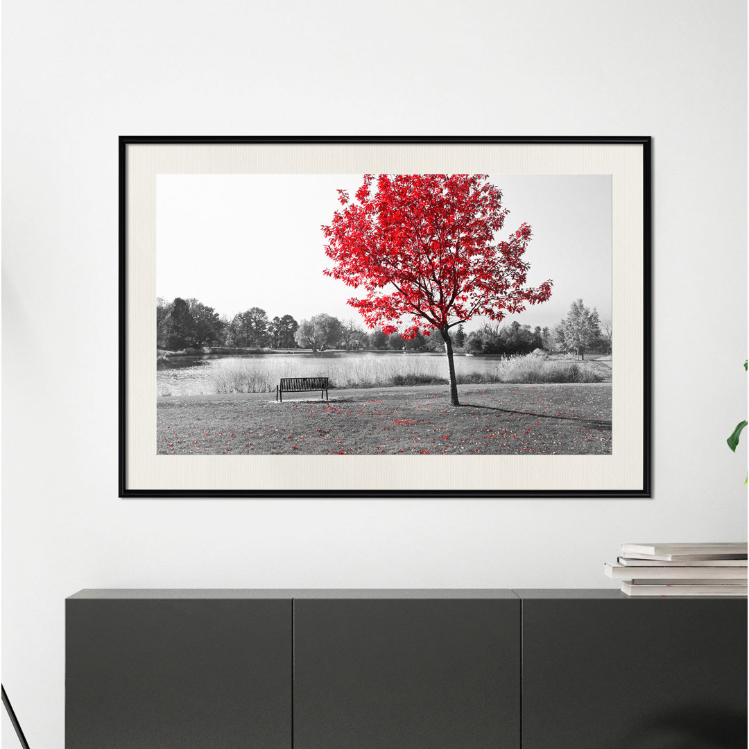 Gerahmter Fotodruck Autumn Colours I