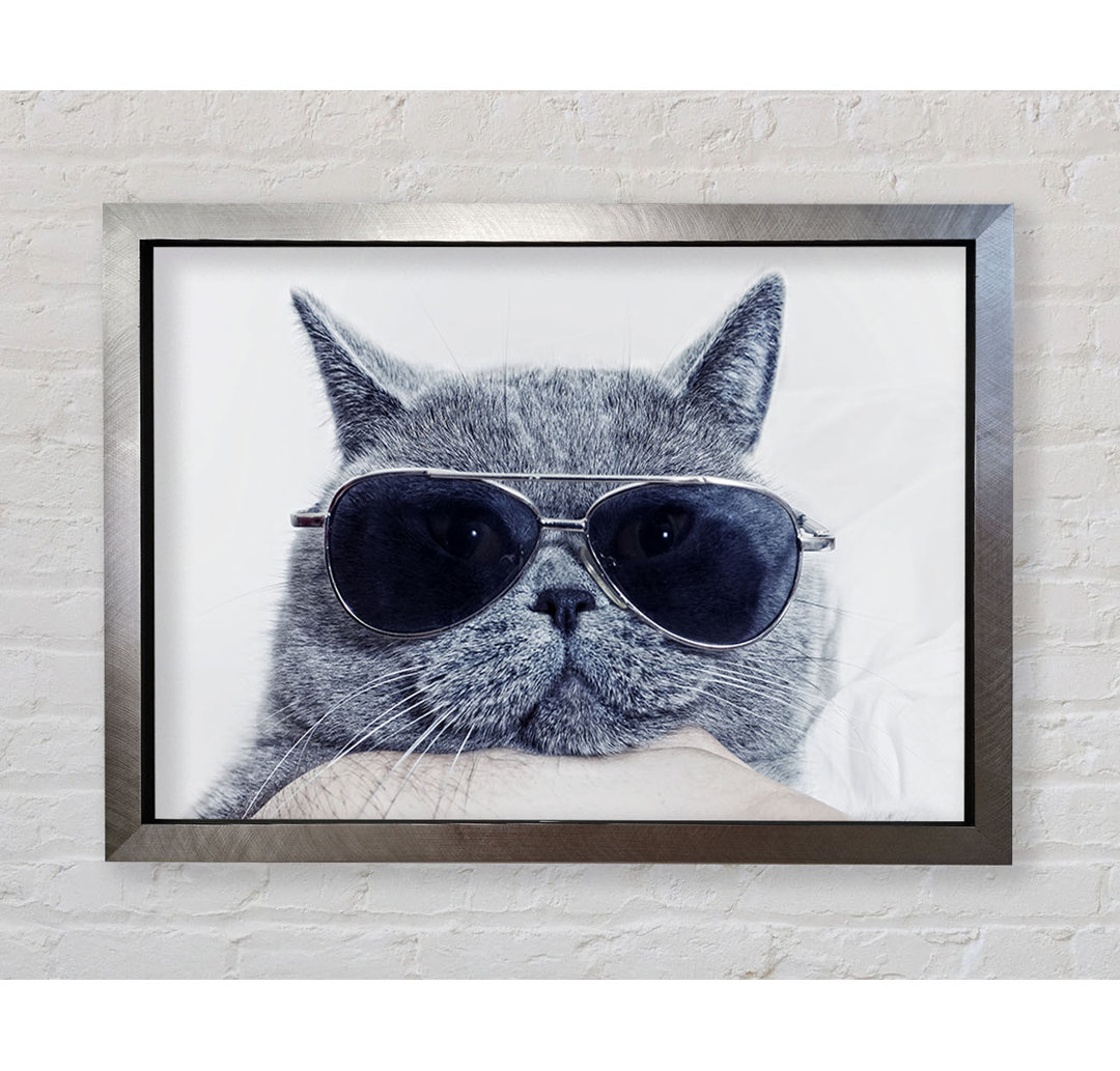 Kitty Cat Cool Gerahmter Druck