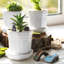 Mini-accessoires de jardin 12 pièces