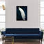 Habillé de plumes - impression-119403334-72500299-72500298