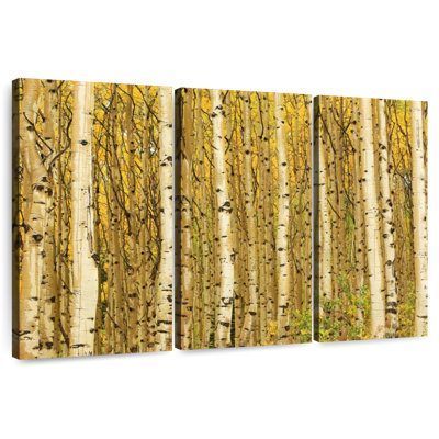 Alvord Golden Aspen Forest