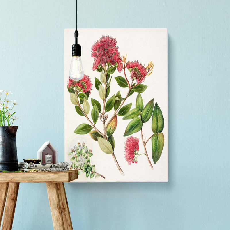 Aka. Rata Flowers - Wrapped Canvas Painting, 50cm H x 35cm W x 3cm D