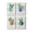 Basilic en pot - ensemble de 4 toiles tendues-234246333