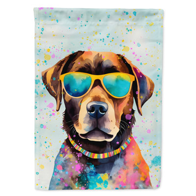 Drapeau de la maison Hippie Dawg