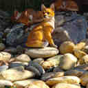 Design Toscano Woodie, the Woodland Fox Garden Statue & Reviews | Wayfair