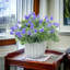 Arrangement de bébé en pot-887932957